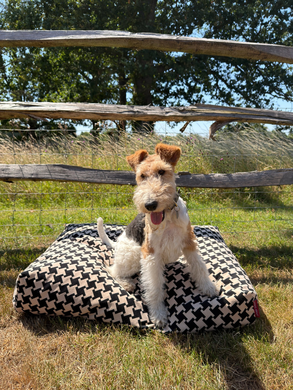 Classic Houndstooth