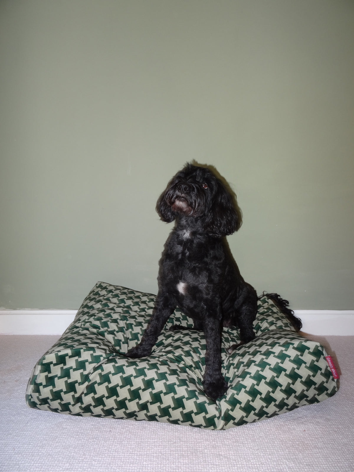Ivy Houndstooth