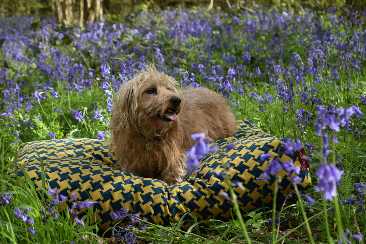 Monarch Houndstooth