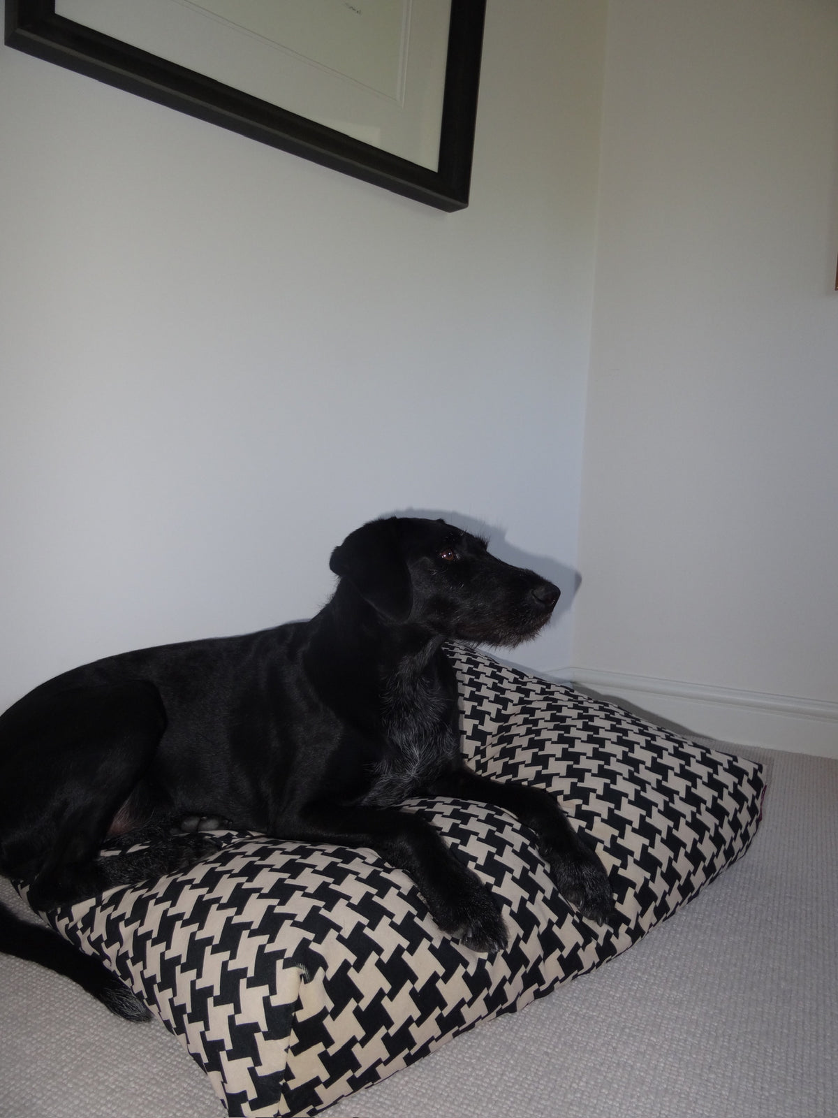 Classic Houndstooth